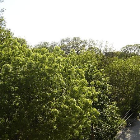 Central Park Family Hotel Каварна Екстер'єр фото