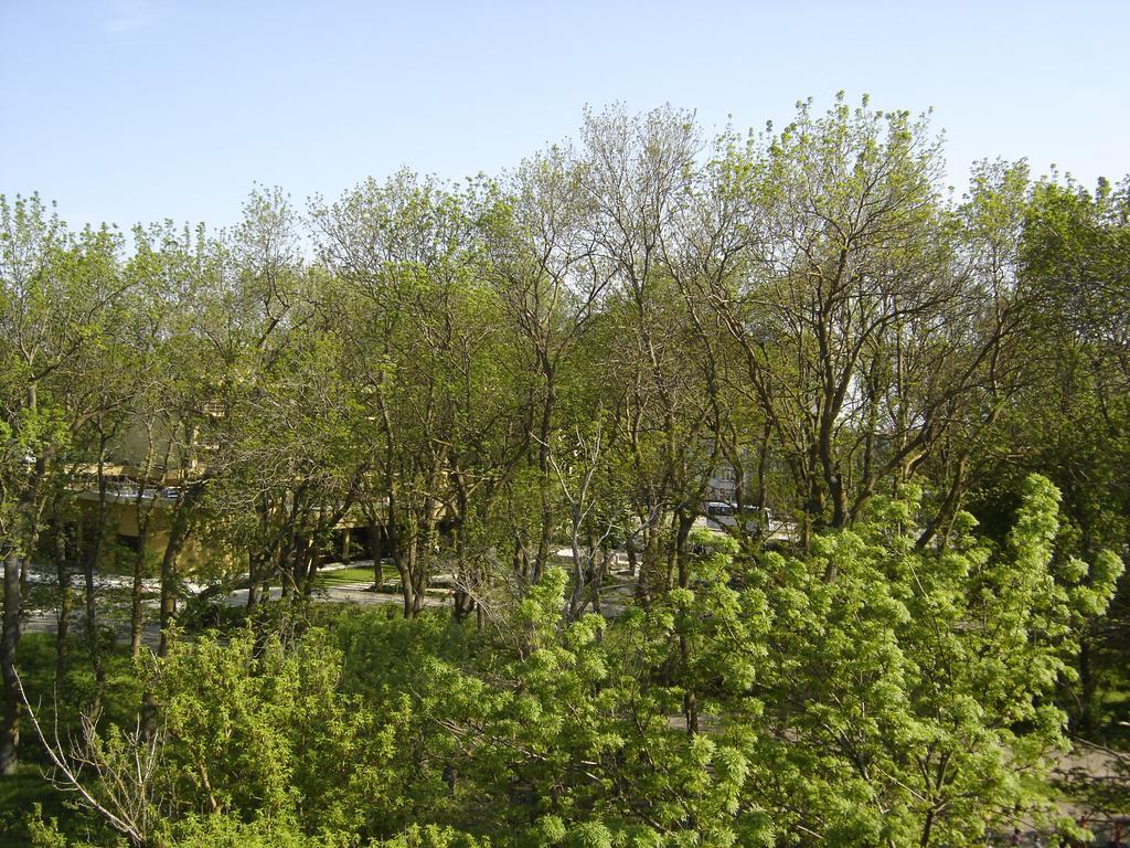 Central Park Family Hotel Каварна Екстер'єр фото